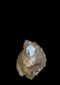 White Buffalo Turquoise Pendant — The Naja