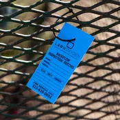 ID Tags