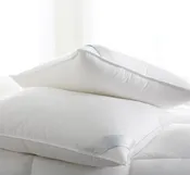 Bergen Down-Free Pillow