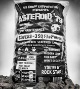 Asteroid '79