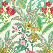 Abelia