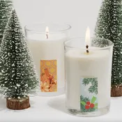 BayBerry Balsam Glass-Filled Candle