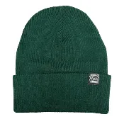 Bridge City Beanie | Spruce