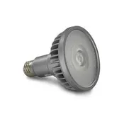 00769, 18.5W LED PAR30 Long Neck Bulb, 2700K, 60 Degree Beam Angle