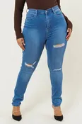 Judy  PLUS Distressed skinny