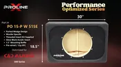 DD Audio 515e Box: Ported 15" Wedge Enclosure