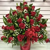 24 Roses Front Facing/ 24 Rosas de un frente