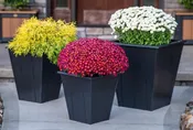 22″ Elite Planter