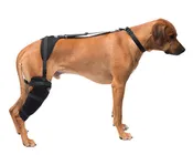 Large Stifle Pet Therapy Wrap
