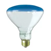 100W | E26 | BR38 BLUE