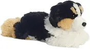 12" Auzzie dog