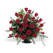 24 Red Rose Tribute