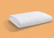 Bedgear Dri-Tec Wicking Mattress Pad