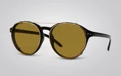 Astin Sunglasses