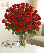 36 Bundle of Love (Copy)