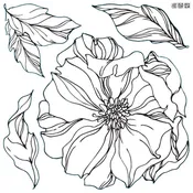 Peonies  Décor Stamp