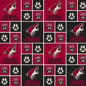 Arizona Coyotes NHL Hockey Box Design Cotton Fabric NHL-020 COY