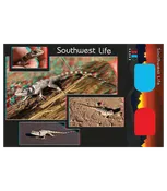 3D Postcards: Southwest Life - Set of Six