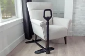 Couch Cane with Pouch — Medtech Services