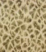 2871-88707 Montone Brown Giraffe Wallpaper