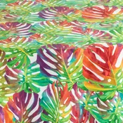 Monstera
