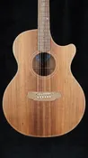 Cole Clark Angel 2EC - All Blackwood w/ She Oak Fretboard