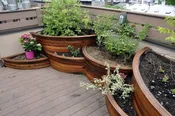 Curved Urban Planters
