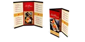 1000 Tri-Fold Brochures Design and Print