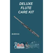 Deluxe Flute Care Kit