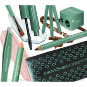 Brow Kit