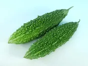 Balsam Pear: ENCHANT