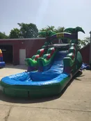 15ft. Green Tropical