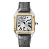 Cartier Santos-Dumont Large 18K Yellow Gold and Steel Quartz W2SA0046