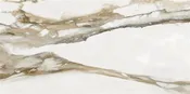 Stagnone 24X48 Polished — Richmond Tile