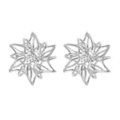 Air Earrings