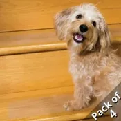 Puppy Treads - PetStep Dog Ramps