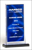 Acrylic Engraved Trophy with Color Silk Graphic - 6-1/2''