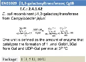 b1,3-galactosyltransferase (CgtB)