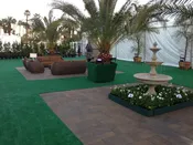Astro Turf