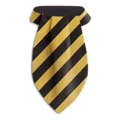 Academy Black and Gold - Ascots