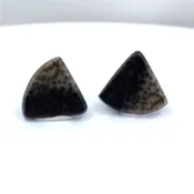 Matching Trillion-Cut Petrified Palm Wood Gemstones – Unique Natural Pair