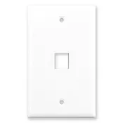 1 Port Wall Plate (Single Gang)