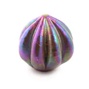 Large Oceana Paperweight