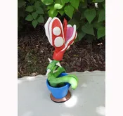 Joesph - The Pype Succulent