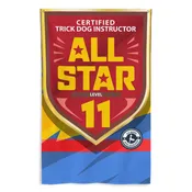 CTDI [All Star 11x]