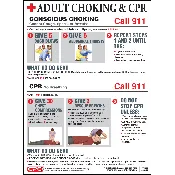 Adult Choke Saving Poster