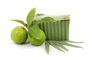 eucalyptus-lime soap — Strawberry Hedgehog