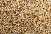 12% Post Race (Leach Grain & Milling) Ultimate Racing Pigeon Feed