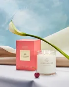 13.4 oz Candle in Forever Florence
