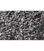 Royal Sunflower, Black Oil
